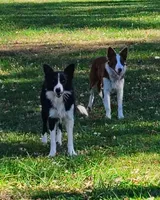 processed/517ea65b-dc8e-4fbc-93a1-ef0a2ba06102/listing/82cee887-4849-458c-b5c7-3e98c710f8a1/1cb053b0-a888-43d4-9225-3503f0c9bf77