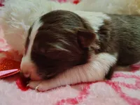 processed/517ea65b-dc8e-4fbc-93a1-ef0a2ba06102/listing/82cee887-4849-458c-b5c7-3e98c710f8a1/707c5259-fbe7-4a18-ad06-311c20bc10a8