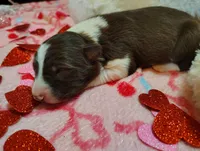 processed/517ea65b-dc8e-4fbc-93a1-ef0a2ba06102/listing/82cee887-4849-458c-b5c7-3e98c710f8a1/8503f8dd-d9e1-43cd-af6d-18ce6d52b9b7