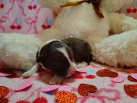 processed/517ea65b-dc8e-4fbc-93a1-ef0a2ba06102/listing/82cee887-4849-458c-b5c7-3e98c710f8a1/bad125be-8e43-4d67-b01a-595170deb528