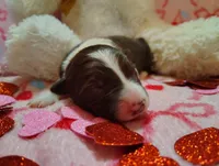 processed/517ea65b-dc8e-4fbc-93a1-ef0a2ba06102/listing/82cee887-4849-458c-b5c7-3e98c710f8a1/ce76304d-0def-471d-bc7e-ff0cb0c692c7