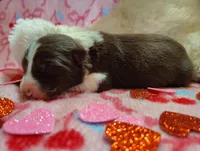 processed/517ea65b-dc8e-4fbc-93a1-ef0a2ba06102/listing/82cee887-4849-458c-b5c7-3e98c710f8a1/fc4a50f5-db32-4b5d-8a97-2b2b01d2a3c3