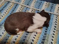 processed/517ea65b-dc8e-4fbc-93a1-ef0a2ba06102/listing/91b39360-1df4-4e00-9aab-28f691519019/05462dde-3dec-4297-93f7-c35a3d41aa75