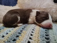 processed/517ea65b-dc8e-4fbc-93a1-ef0a2ba06102/listing/91b39360-1df4-4e00-9aab-28f691519019/81abb2e5-7e34-4c89-b957-3e98a529bf7c