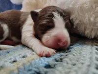 processed/517ea65b-dc8e-4fbc-93a1-ef0a2ba06102/listing/91b39360-1df4-4e00-9aab-28f691519019/93b9dba4-793e-4a3e-9889-2c44d8cc80b1