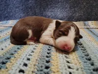 processed/517ea65b-dc8e-4fbc-93a1-ef0a2ba06102/listing/91b39360-1df4-4e00-9aab-28f691519019/9abce18d-ed0a-4c86-aae4-f5f3658865f7