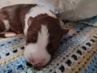 processed/517ea65b-dc8e-4fbc-93a1-ef0a2ba06102/listing/91b39360-1df4-4e00-9aab-28f691519019/9ce80b23-0a4f-4a5c-83d5-6e75236b1f71