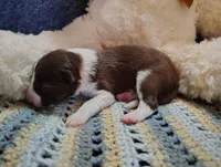 processed/517ea65b-dc8e-4fbc-93a1-ef0a2ba06102/listing/91b39360-1df4-4e00-9aab-28f691519019/c4dbc3b8-dc9b-4ec7-866b-ee1bb96ceed9