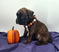 processed/518f2900-04c9-4117-a4ac-6048f64dcbe6/listing/1ef432b8-fc44-409c-8990-1ed5bea3ab09/8ef4dcec-14a1-4d38-a452-6dbe67b20ae9