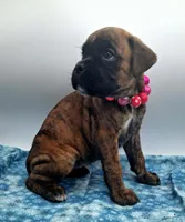 processed/518f2900-04c9-4117-a4ac-6048f64dcbe6/listing/45fb7874-6572-4671-bc16-06fbdcce7e63/06601dba-c811-473e-babc-a1986a544fd1