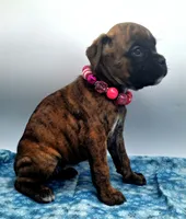 processed/518f2900-04c9-4117-a4ac-6048f64dcbe6/listing/45fb7874-6572-4671-bc16-06fbdcce7e63/3ebb510c-a18d-48e0-a90d-d33e36ff163d