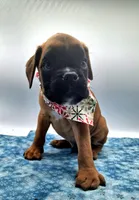 processed/518f2900-04c9-4117-a4ac-6048f64dcbe6/listing/61abf587-8f5d-4386-a9a3-7e1fd2d34225/bea5ef74-957a-4597-bd8e-09b454afb049