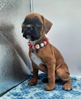 processed/518f2900-04c9-4117-a4ac-6048f64dcbe6/listing/b86f4473-96fc-41e3-9de6-01afa202ab18/4ba32408-8080-4931-988c-b9932acb4d21