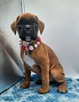 processed/518f2900-04c9-4117-a4ac-6048f64dcbe6/listing/b86f4473-96fc-41e3-9de6-01afa202ab18/5a86f92f-edd0-4ebe-b106-7d3516b9d0ba