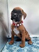 processed/518f2900-04c9-4117-a4ac-6048f64dcbe6/listing/b86f4473-96fc-41e3-9de6-01afa202ab18/6238e920-72e9-4b74-984a-810e3f572343