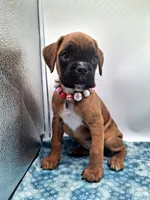 processed/518f2900-04c9-4117-a4ac-6048f64dcbe6/listing/b86f4473-96fc-41e3-9de6-01afa202ab18/8c7eaf05-d2b5-45c2-a462-cfed637fe2fa