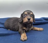 processed/518f2900-04c9-4117-a4ac-6048f64dcbe6/listing/d127b365-8ac6-46ef-a11a-05e63567b5da/01d622ea-9e63-4f6a-a8bd-c371fc10bf24