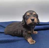 processed/518f2900-04c9-4117-a4ac-6048f64dcbe6/listing/d127b365-8ac6-46ef-a11a-05e63567b5da/6902f588-801c-47cf-ad19-29bd2bc2c0e3