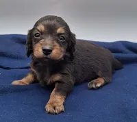 processed/518f2900-04c9-4117-a4ac-6048f64dcbe6/listing/d127b365-8ac6-46ef-a11a-05e63567b5da/ada2d0d2-4e62-4517-9847-3875fe4f32ee