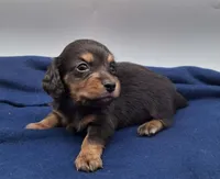 processed/518f2900-04c9-4117-a4ac-6048f64dcbe6/listing/d127b365-8ac6-46ef-a11a-05e63567b5da/b7a5b5c8-e803-4597-b549-15504c05bbcf