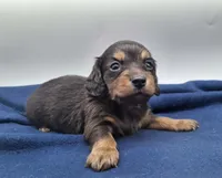 processed/518f2900-04c9-4117-a4ac-6048f64dcbe6/listing/d127b365-8ac6-46ef-a11a-05e63567b5da/d931f93e-3267-46ad-aae5-f8d1c2ebc92b