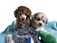 processed/518f2900-04c9-4117-a4ac-6048f64dcbe6/listing/d2d6fbaf-60a6-43e1-9c4c-16500602264a/487ed5e2-b29a-48d4-a65c-3320ca8cd3eb