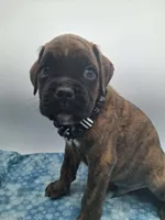 processed/518f2900-04c9-4117-a4ac-6048f64dcbe6/listing/d7963e83-1164-4d35-ab94-ff96b9f2a626/1c490754-aba2-4729-9117-8871fb67bf0c