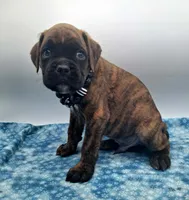 processed/518f2900-04c9-4117-a4ac-6048f64dcbe6/listing/d7963e83-1164-4d35-ab94-ff96b9f2a626/80a7fcf5-1e34-4f12-a8bf-75cce6ecc644