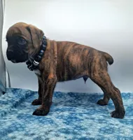 processed/518f2900-04c9-4117-a4ac-6048f64dcbe6/listing/d7963e83-1164-4d35-ab94-ff96b9f2a626/c2b8fc7c-b9f6-4f00-ab24-a5804b54a724