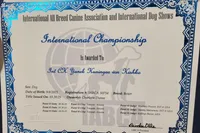 processed/518f2900-04c9-4117-a4ac-6048f64dcbe6/listing/d7963e83-1164-4d35-ab94-ff96b9f2a626/eba68f72-c065-4c1d-b890-51e251ae88df