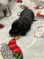 processed/51908d35-859b-48de-b6f7-5f3b4b754aeb/listing/140d7d1e-9f26-4a49-bdde-c79852032f7e/139016e0-ccc0-4218-a0e6-50cb74f49fd2