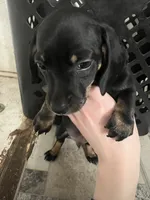 processed/51908d35-859b-48de-b6f7-5f3b4b754aeb/listing/140d7d1e-9f26-4a49-bdde-c79852032f7e/21dbad29-de8a-49c6-aa67-0d0cf479fb12