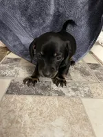 processed/51908d35-859b-48de-b6f7-5f3b4b754aeb/listing/140d7d1e-9f26-4a49-bdde-c79852032f7e/af51ee06-8804-47d4-a82d-ce2e844050a6