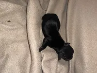 processed/51908d35-859b-48de-b6f7-5f3b4b754aeb/listing/140d7d1e-9f26-4a49-bdde-c79852032f7e/c6f1b186-446b-4413-b417-66dfda0136e6