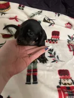 processed/51908d35-859b-48de-b6f7-5f3b4b754aeb/listing/140d7d1e-9f26-4a49-bdde-c79852032f7e/cfc927c1-a781-47e6-b5b5-f1590c6bab64