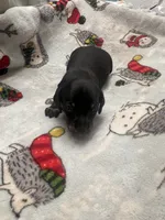 processed/51908d35-859b-48de-b6f7-5f3b4b754aeb/listing/140d7d1e-9f26-4a49-bdde-c79852032f7e/f1164176-e2f8-4341-a870-59e1d55a57e2