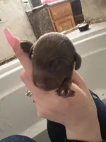 processed/51908d35-859b-48de-b6f7-5f3b4b754aeb/listing/1d38fa26-7a52-4db0-87e5-b78d2bf60862/d16a0223-cc45-4088-9ec5-afaff2e7ffc1