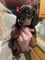 processed/51908d35-859b-48de-b6f7-5f3b4b754aeb/listing/bac867ac-f928-45b1-bc83-a5615cd44040/71f30174-334d-4d18-8838-5f006bf1a18b