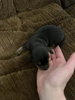 processed/51908d35-859b-48de-b6f7-5f3b4b754aeb/listing/bac867ac-f928-45b1-bc83-a5615cd44040/c919463f-f7a7-4c93-8cf2-abc4ef91629c