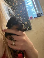 processed/51908d35-859b-48de-b6f7-5f3b4b754aeb/listing/bac867ac-f928-45b1-bc83-a5615cd44040/cc4ebf22-41cb-4fa3-a7c1-da69e8d58150