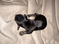 processed/51908d35-859b-48de-b6f7-5f3b4b754aeb/listing/bac867ac-f928-45b1-bc83-a5615cd44040/db05631f-94d3-4d1b-a22a-cc68ca72b068