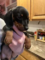 processed/51908d35-859b-48de-b6f7-5f3b4b754aeb/listing/bac867ac-f928-45b1-bc83-a5615cd44040/e1c41a78-5197-411c-b6b9-5aefd0447aa7