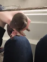 processed/51908d35-859b-48de-b6f7-5f3b4b754aeb/listing/e7d29880-fa0c-4b7a-bfe5-d8e6673836c6/e5321a76-f088-4e9c-98b4-ae6811e18cc1