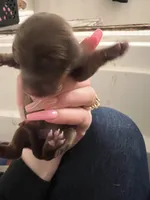 processed/51908d35-859b-48de-b6f7-5f3b4b754aeb/listing/f2462b12-ee68-44e2-9099-8c6d59350d79/364824cb-34ae-4a3d-aab3-5c215625bdde