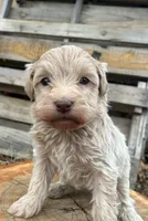 processed/51929e79-a407-464c-9f23-3ae6173c80a6/listing/1076e214-53bb-4e11-89b0-150e09c0e603/0d840763-2aed-457a-81fd-5b83f938c5a5