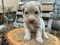 processed/51929e79-a407-464c-9f23-3ae6173c80a6/listing/1076e214-53bb-4e11-89b0-150e09c0e603/208cce7c-9ec1-43ec-ba36-c9bcfd91da0a