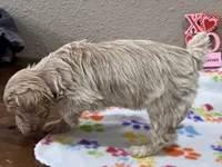 processed/51929e79-a407-464c-9f23-3ae6173c80a6/listing/1076e214-53bb-4e11-89b0-150e09c0e603/4d0ad990-41d3-4d81-8cf1-db6bace17078