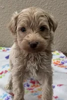 processed/51929e79-a407-464c-9f23-3ae6173c80a6/listing/1076e214-53bb-4e11-89b0-150e09c0e603/91f876a0-bade-49fc-b009-f9dc8a5440ed