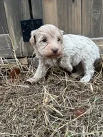 processed/51929e79-a407-464c-9f23-3ae6173c80a6/listing/1076e214-53bb-4e11-89b0-150e09c0e603/bb5c157e-bed1-4212-9467-e1a309254d21