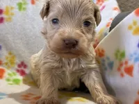 processed/51929e79-a407-464c-9f23-3ae6173c80a6/listing/1076e214-53bb-4e11-89b0-150e09c0e603/c055120f-30f0-48db-8f5f-ecf510f06625